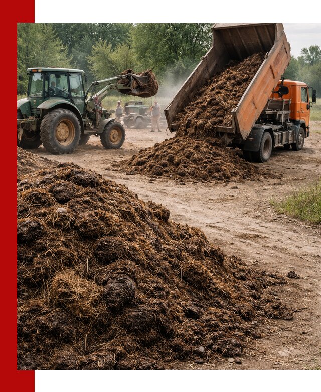 Доставка навоза самосвалами в Орехове-Зуеве для сельхозпотребностей